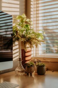 resized_41_api